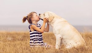 top 10 best dogs for kids