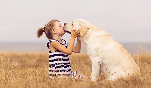 top 10 best dogs for kids